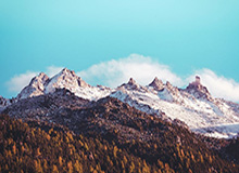 开云-5场比赛仅胜1场，申花8月战绩低迷致歉球迷，网友留言：说再多不如行动，加油吧