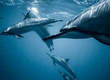 开云-5场比赛仅胜1场，申花8月战绩低迷致歉球迷，网友留言：说再多不如行动，加油吧